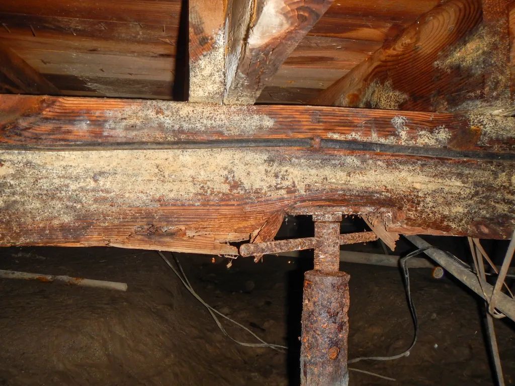 Zicklin | Expert Structural Repairs for NYC Homes — Fast & Compliant