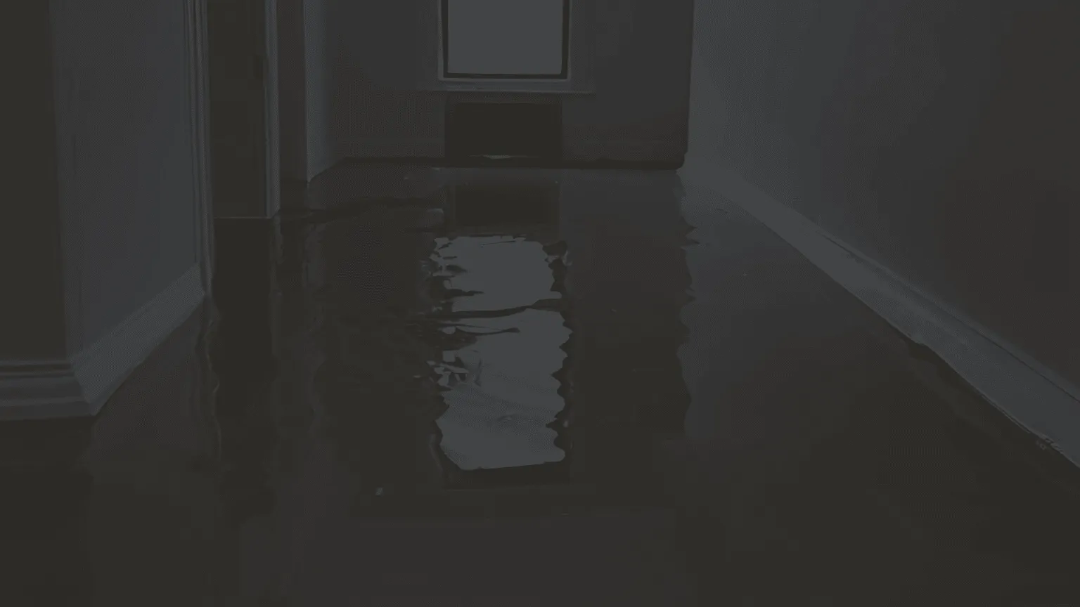 Basement Waterproofing